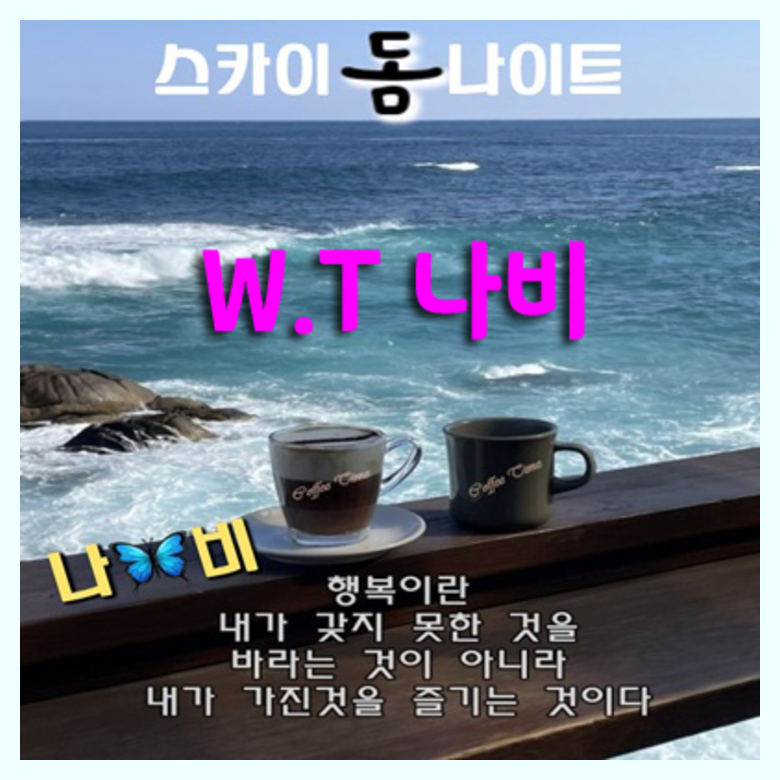 야당스카이돔나이트